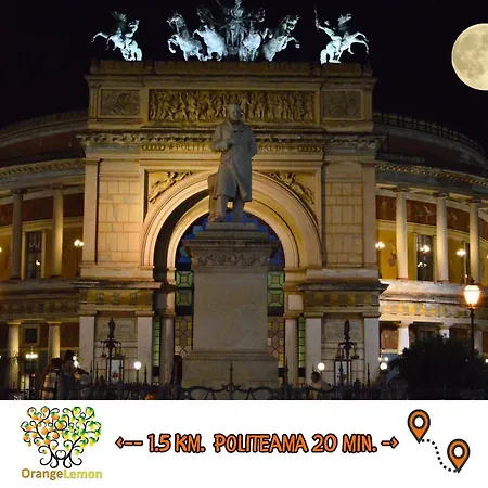 Orange Lemon Garden *